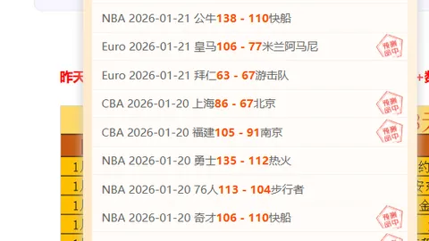 缅怀林子金，比赛第10分钟观众齐亮闪光灯致敬。